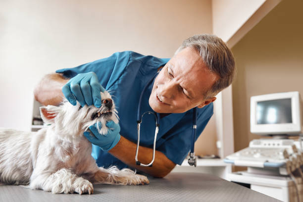 Best Same-Day Emergency Appointments in Barclay, NJ